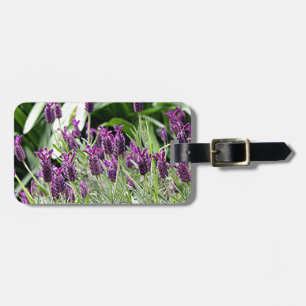 Etiqueta De Bagagem Flores roxas & verdes da lavanda na flor