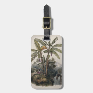 Etiqueta De Bagagem Floresta Antiga de Bananeiras Tropicais   Bota Vin