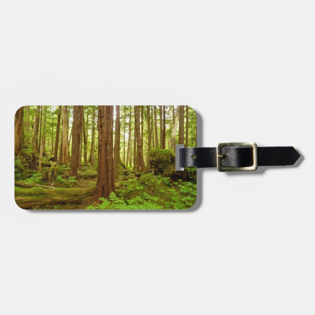 Etiqueta De Bagagem Floresta Temperada Alaskiana (Frente Horizontal)