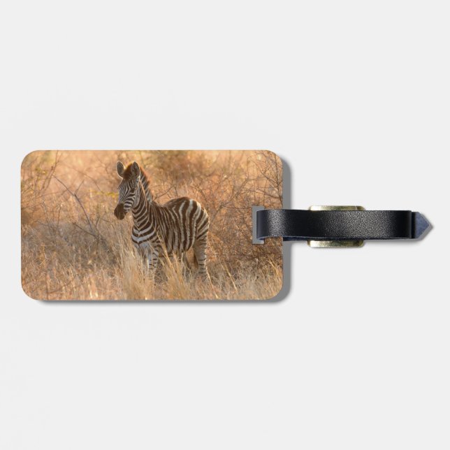 Etiqueta De Bagagem Foco de Zebra à luz da manhã (Traseira Horizontal)