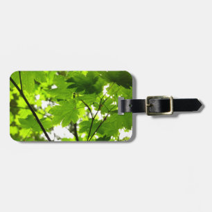 Etiqueta De Bagagem Folhas de Maple com Gotas de Rainha