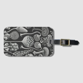 Etiqueta De Bagagem Formas artísticas da natureza