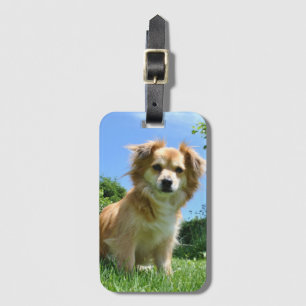 Etiqueta De Bagagem Foto de Cachorrinho Fofo no Jardim