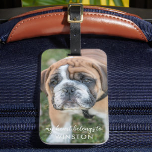Etiqueta De Bagagem Foto de Cachorro Pet Cachorro Personalizada