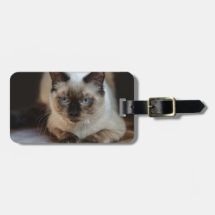 Etiqueta De Bagagem Foto de Gato de Pet Moderno