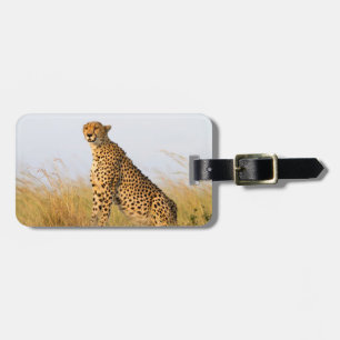 Etiqueta De Bagagem Foto do amante do gato Cheetah