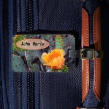 Foto do Flor do Opuntia Pera Laranja