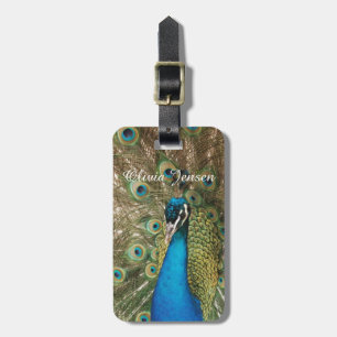 Etiqueta De Bagagem Foto do pavão bonito com penas espalhadas