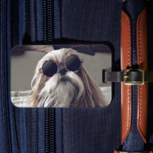 Etiqueta De Bagagem Foto legal de Shih Tzu com cabelo longo e óculos d