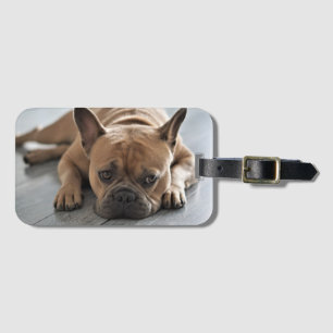 Etiqueta De Bagagem Foto Personalizada de Cachorro Pet