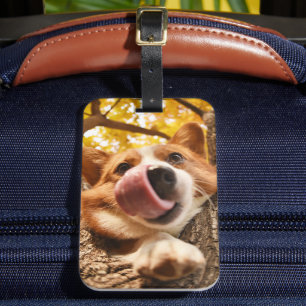 Etiqueta De Bagagem Foto Personalizada De Pet Engraçado