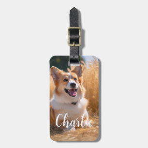 Etiqueta De Bagagem Foto Pet Personalizada com Nome