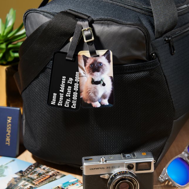 Etiqueta De Bagagem Fotografia do Kitten Mascarado Azul Adorável (Frente e verso)