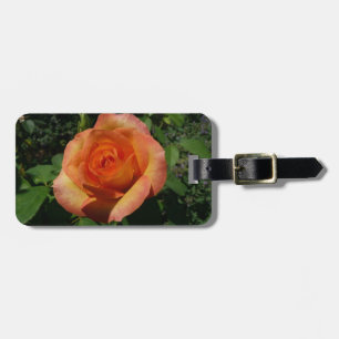 Etiqueta De Bagagem Fotografia Floral Laranja Peach Rosa