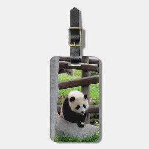 Etiqueta De Bagagem Fotografia Panda - Personalizável