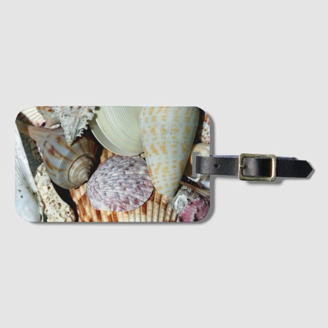Etiqueta De Bagagem Fotos Personalizadas de Conchas de Praia (Frente Horizontal)
