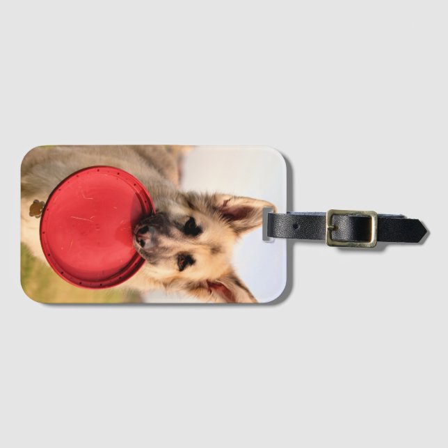 Etiqueta De Bagagem Frisbee (Frente Horizontal)