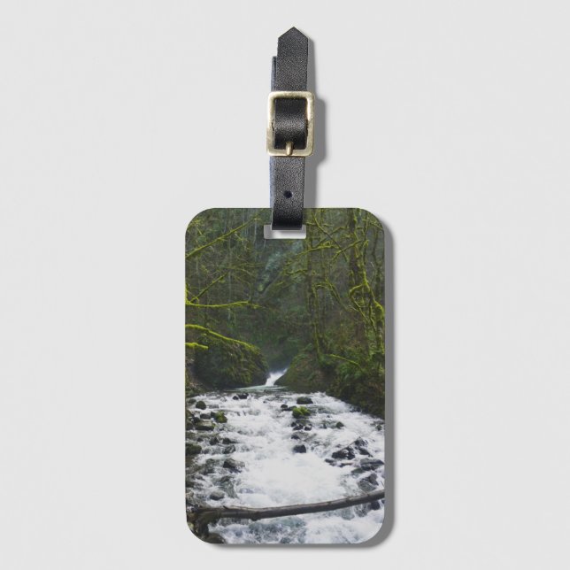 Etiqueta De Bagagem Fuga de Queda de Véu Bridal, OU (Frente Vertical)