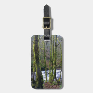 Etiqueta De Bagagem Fuga de Queda de Véu Bridal, OU