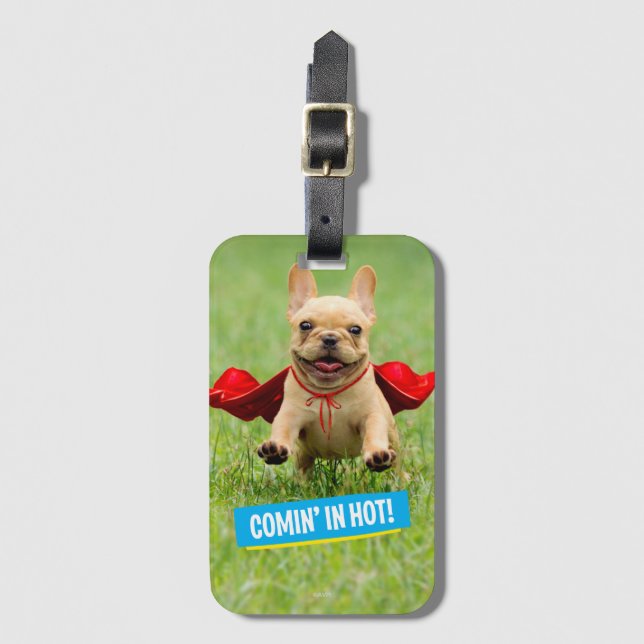 Etiqueta De Bagagem Funcionamentos bonitos do super-herói do buldogue (Frente Vertical)