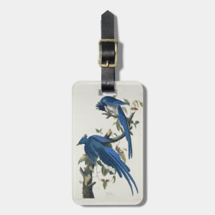 Etiqueta De Bagagem Gaio de Columbia de Audubon Gaio de Garganta Preta