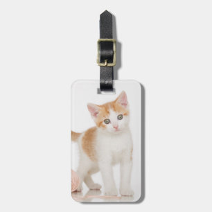 Etiqueta De Bagagem Gatinho ao lado da bola da corda