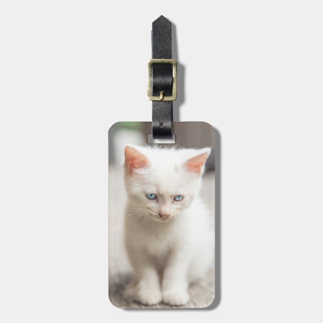 Etiqueta De Bagagem Gatinho branco (Frente Vertical)