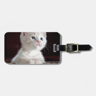 Etiqueta De Bagagem Gatinho branco super bonito