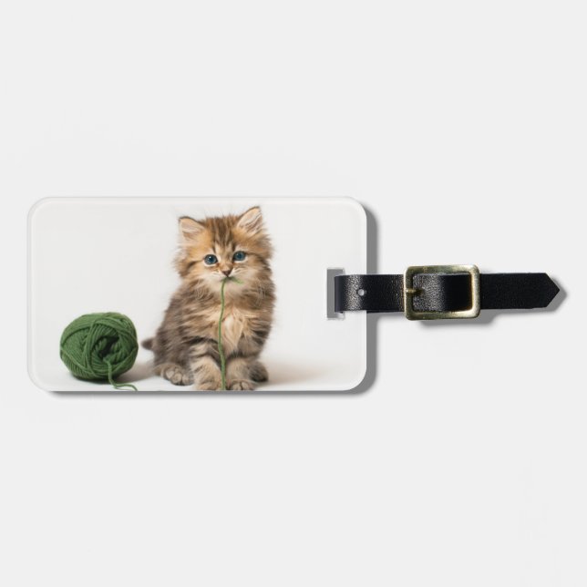 Etiqueta De Bagagem Gatinho com fio verde (Frente Horizontal)