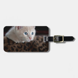 Etiqueta De Bagagem Gatinho Creme com Olhos Azuis Lindos