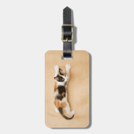 Etiqueta De Bagagem Gatinho de escalada da chita