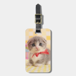 Etiqueta De Bagagem Gatinho de Munchkin