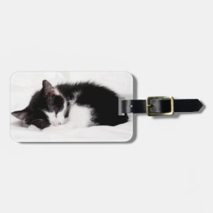 Etiqueta De Bagagem Gatinho do sono
