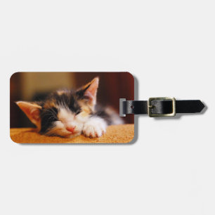 Etiqueta De Bagagem Gatinho dormindo