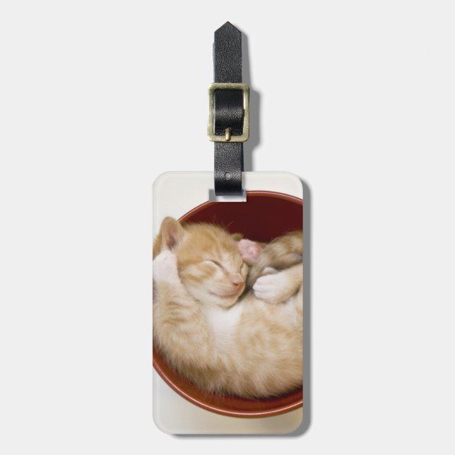 Etiqueta De Bagagem Gatinho dormindo (Frente Vertical)