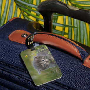 Etiqueta De Bagagem Gatinho Fofo Personalizado