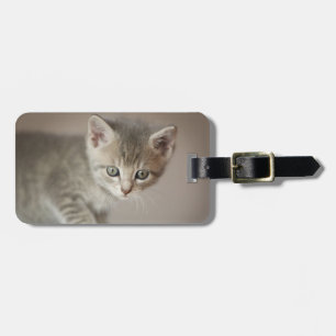 Etiqueta De Bagagem Gatinho minúsculo