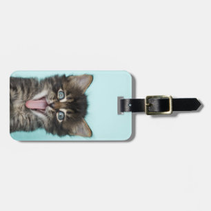 Etiqueta De Bagagem Gatinho parvo de Merlin