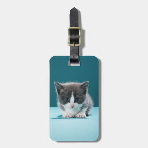 Etiqueta De Bagagem Gatinho pequeno