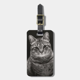 Etiqueta De Bagagem Gatinho Preto