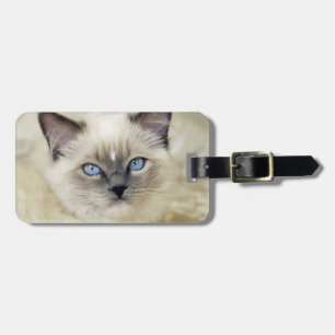 Etiqueta De Bagagem Gatinho Ragdoll
