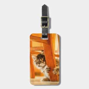 Etiqueta De Bagagem Gatinho sob a cadeira