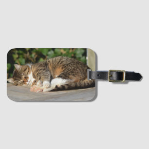 Etiqueta De Bagagem Gatinho sonolento