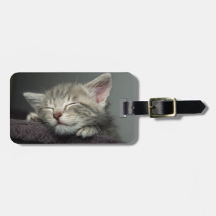 Etiqueta De Bagagem Gatinho sonolento