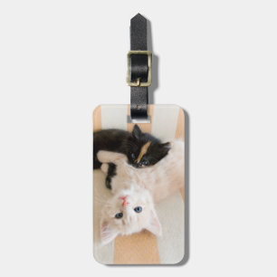 Etiqueta De Bagagem Gatinhos brancos e pretos