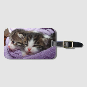 Etiqueta De Bagagem Gatinhos doces sonolentos