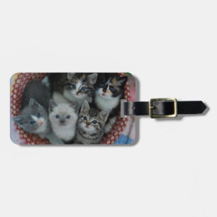 Etiqueta De Bagagem Gatinhos em uma cesta