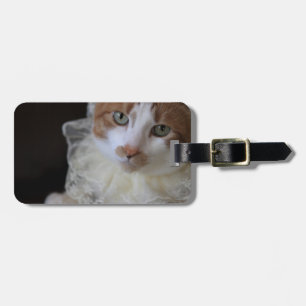 Etiqueta De Bagagem Gato com coleira de lata