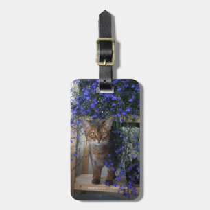 Etiqueta De Bagagem Gato da flor