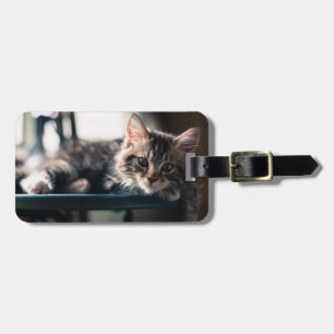 Etiqueta De Bagagem Gato de gato malhado masculino novo 2